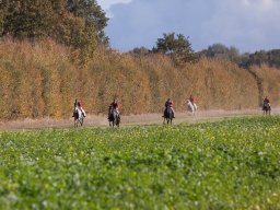 IMG_9815web